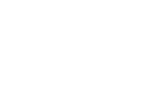 Artboard 1Contact